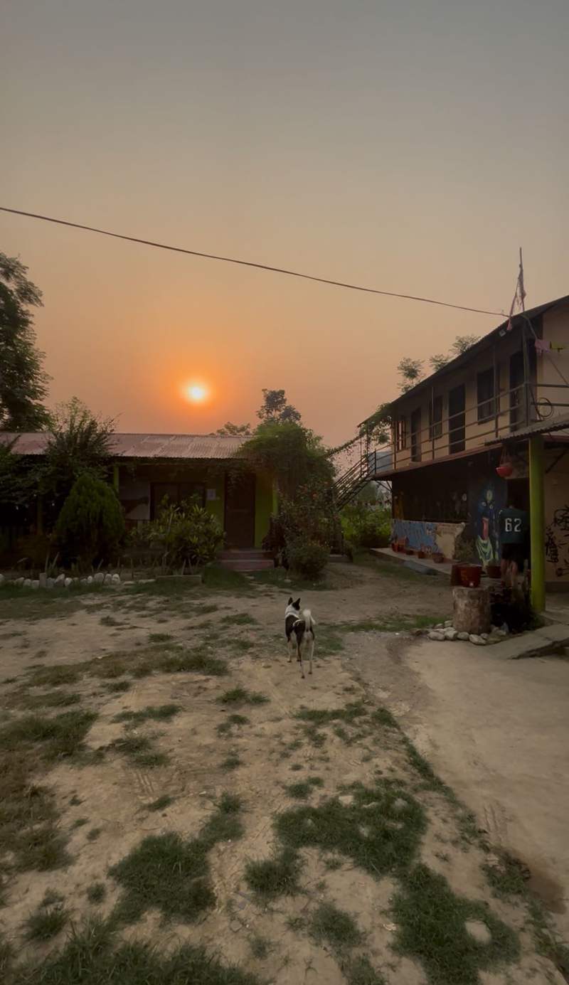 Hostel Animal Love