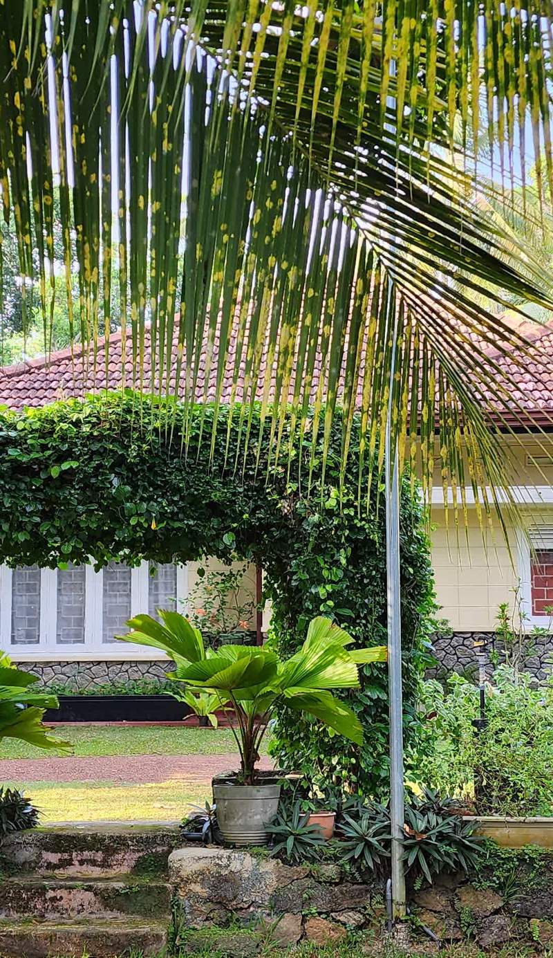 CHARAKAMA Guest Bungalow