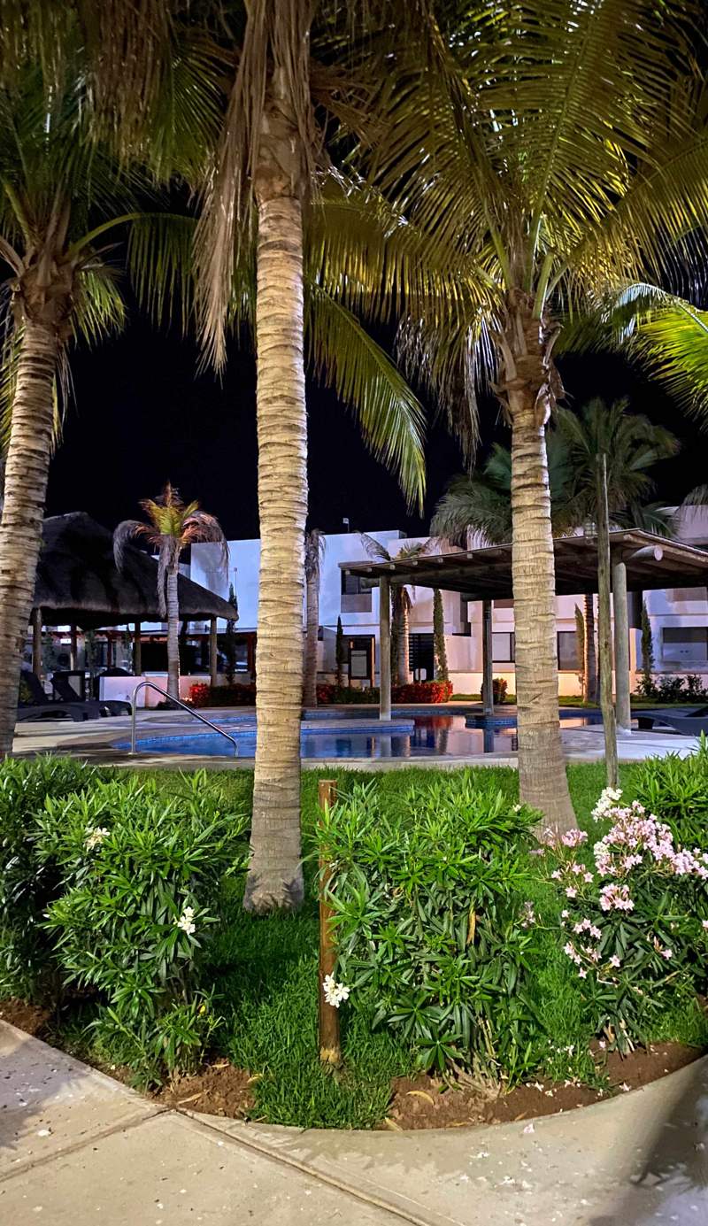 Palmilla Sunscape By GEstores