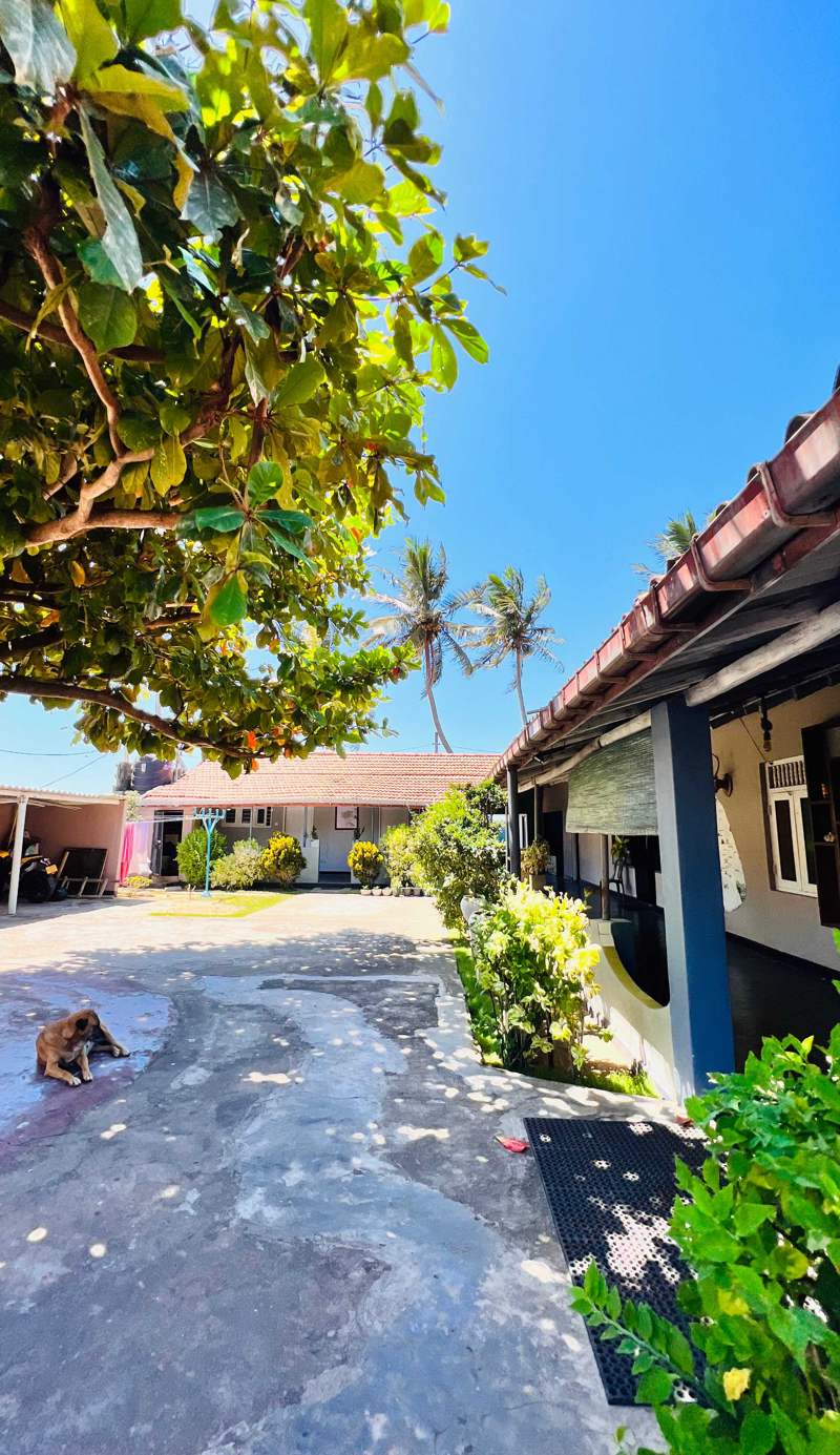 Flexi Lodge and Hostel by The Sea