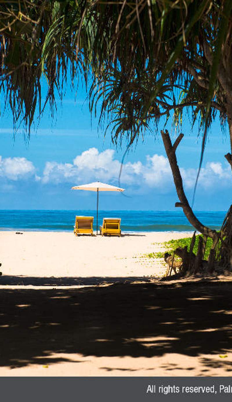 Palm Beach Inn and Sea Shells Cabanas