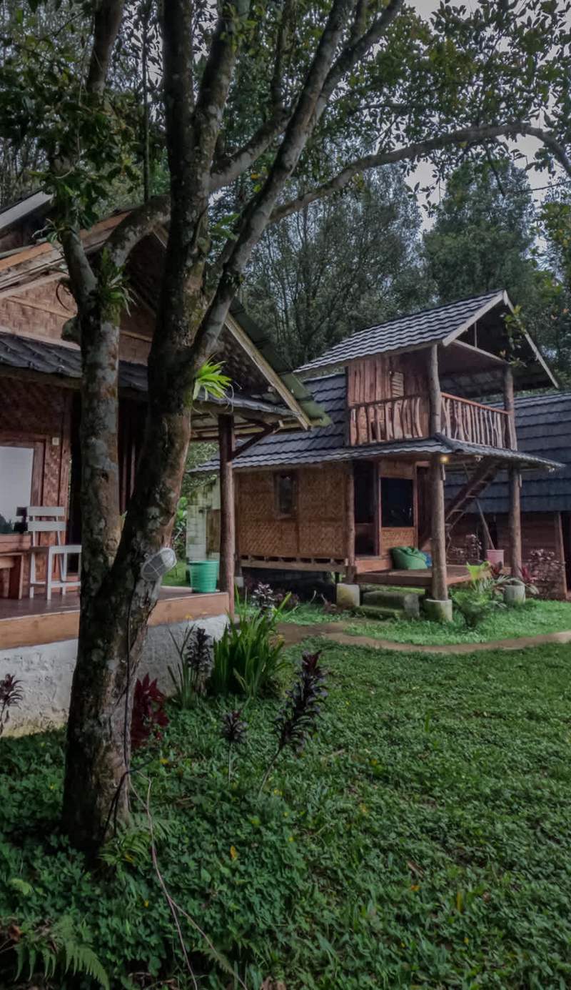 Tetebatu Jungle Vibes