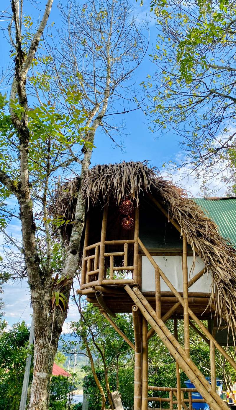 Hospedaje Finca el Mono