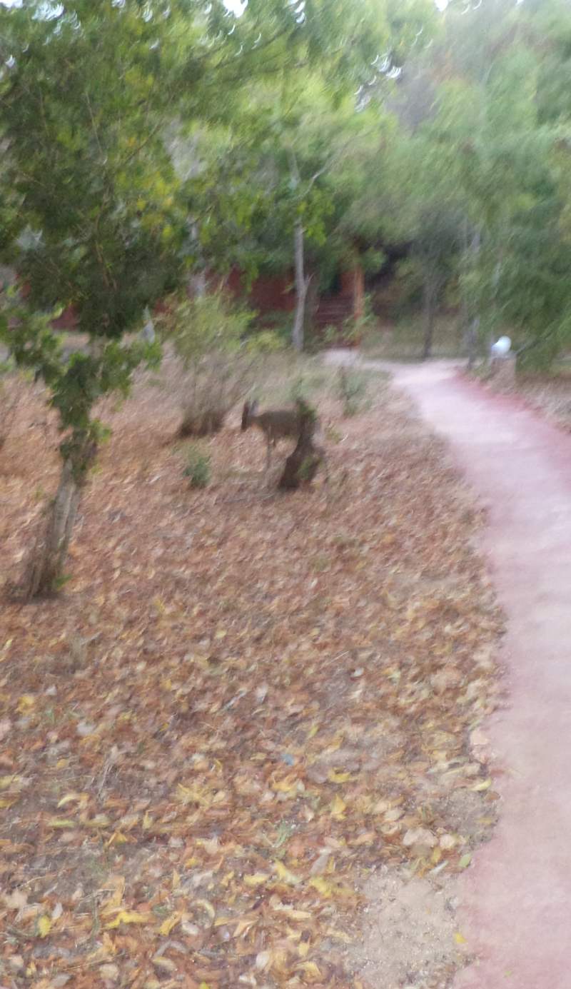 Gosana Nature and Surf B&B