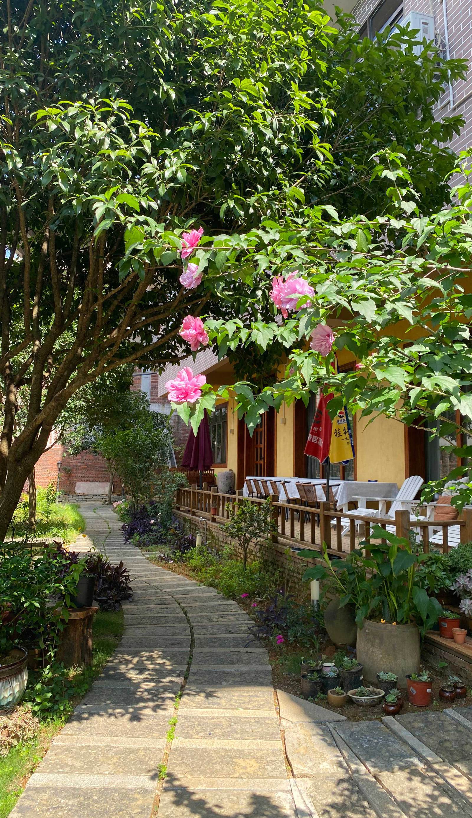 Yangshuo Eden Inn YHA
