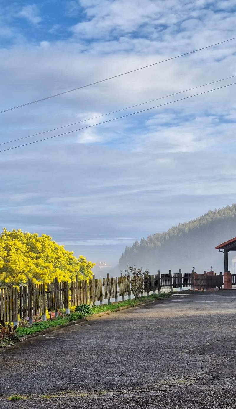 Las Mimosas del Nalón