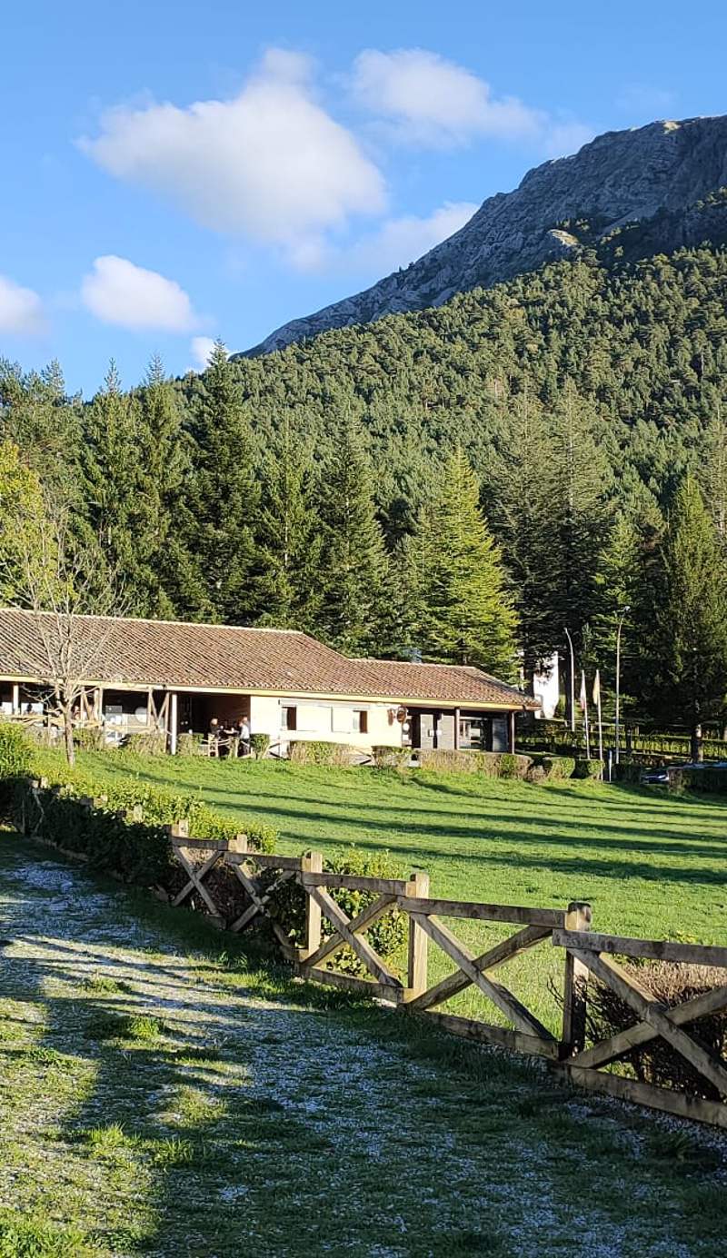 KYOMU Resort