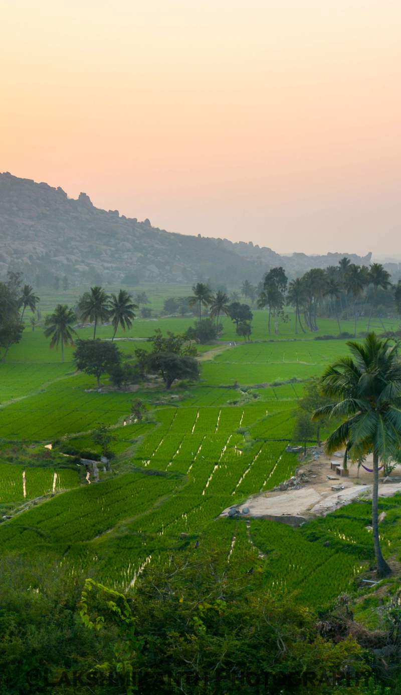 Gowri Nature Stay Hampi