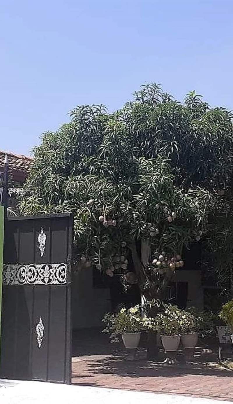 Alexandra Family Villa