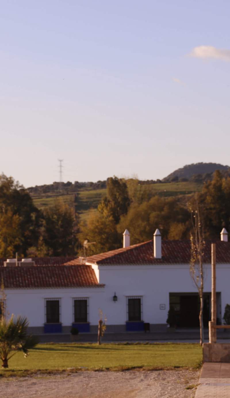 Hotel Arroyo la Plata by Bossh Hotels