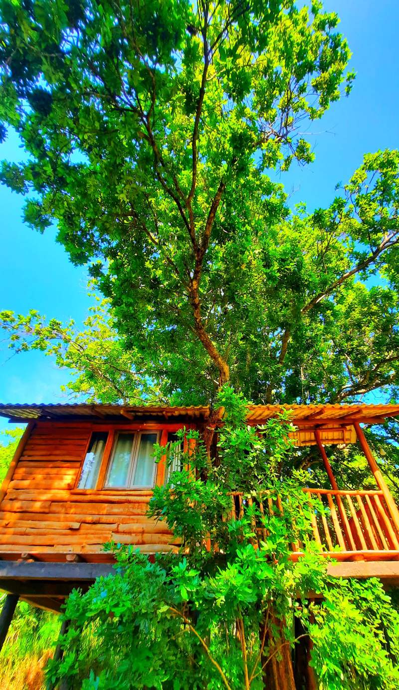 Tree House 4 Nature Lovers