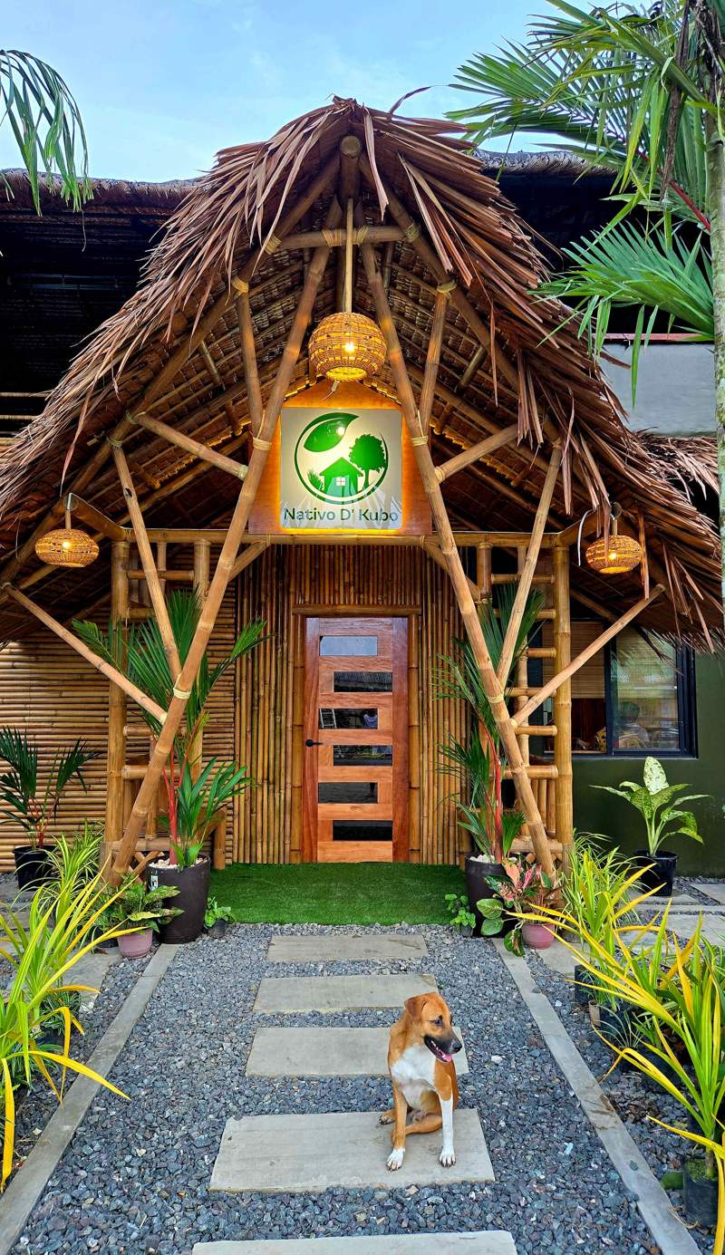 Nativo D Kubo Hostel - Mixed Dorm