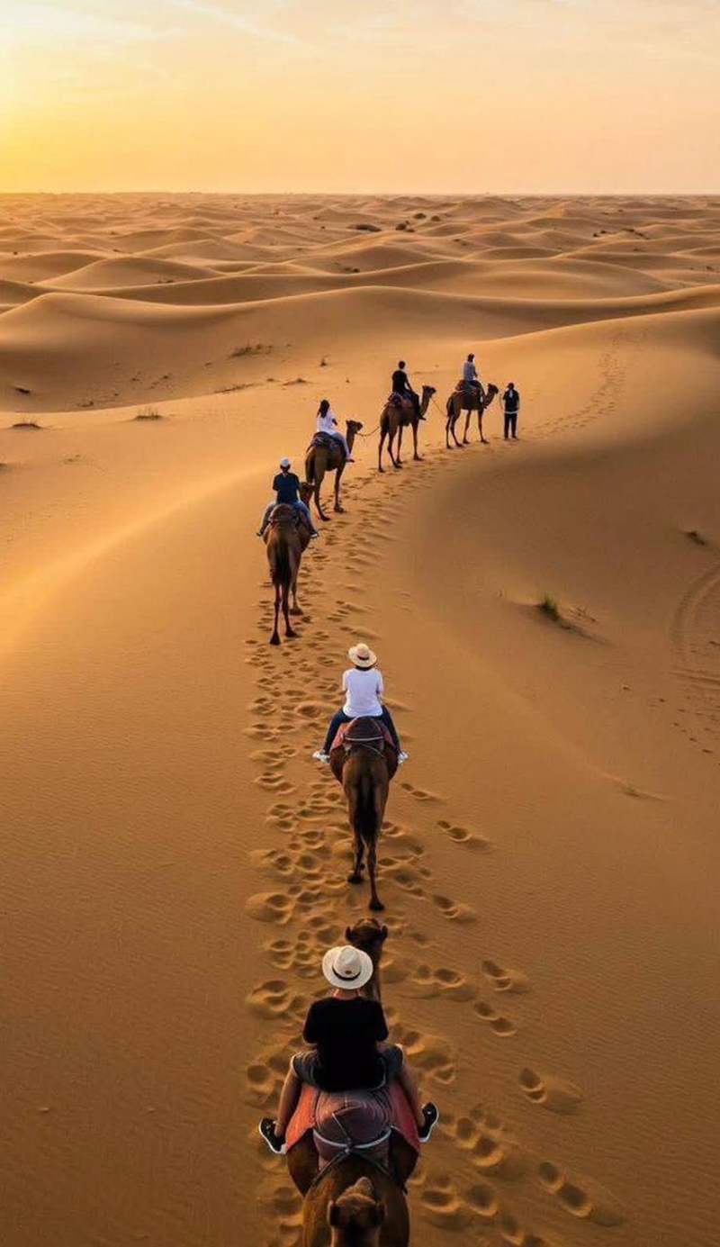Desert Safari Camp
