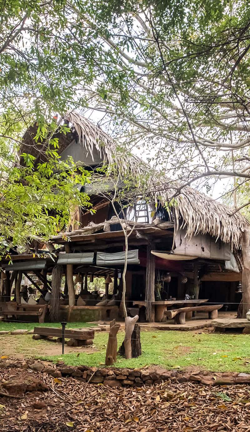 Banyan Camp Hambegamuwa