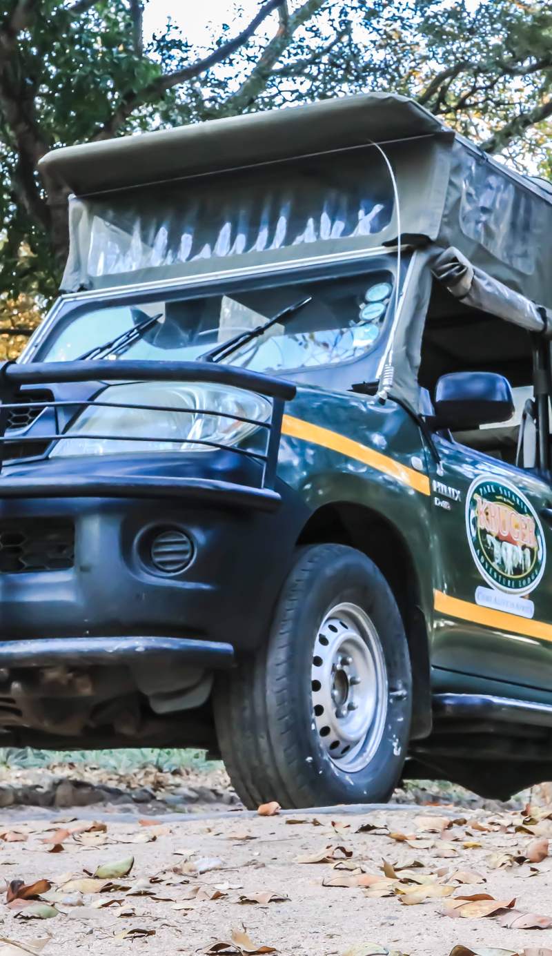 Kruger Adventure Lodge