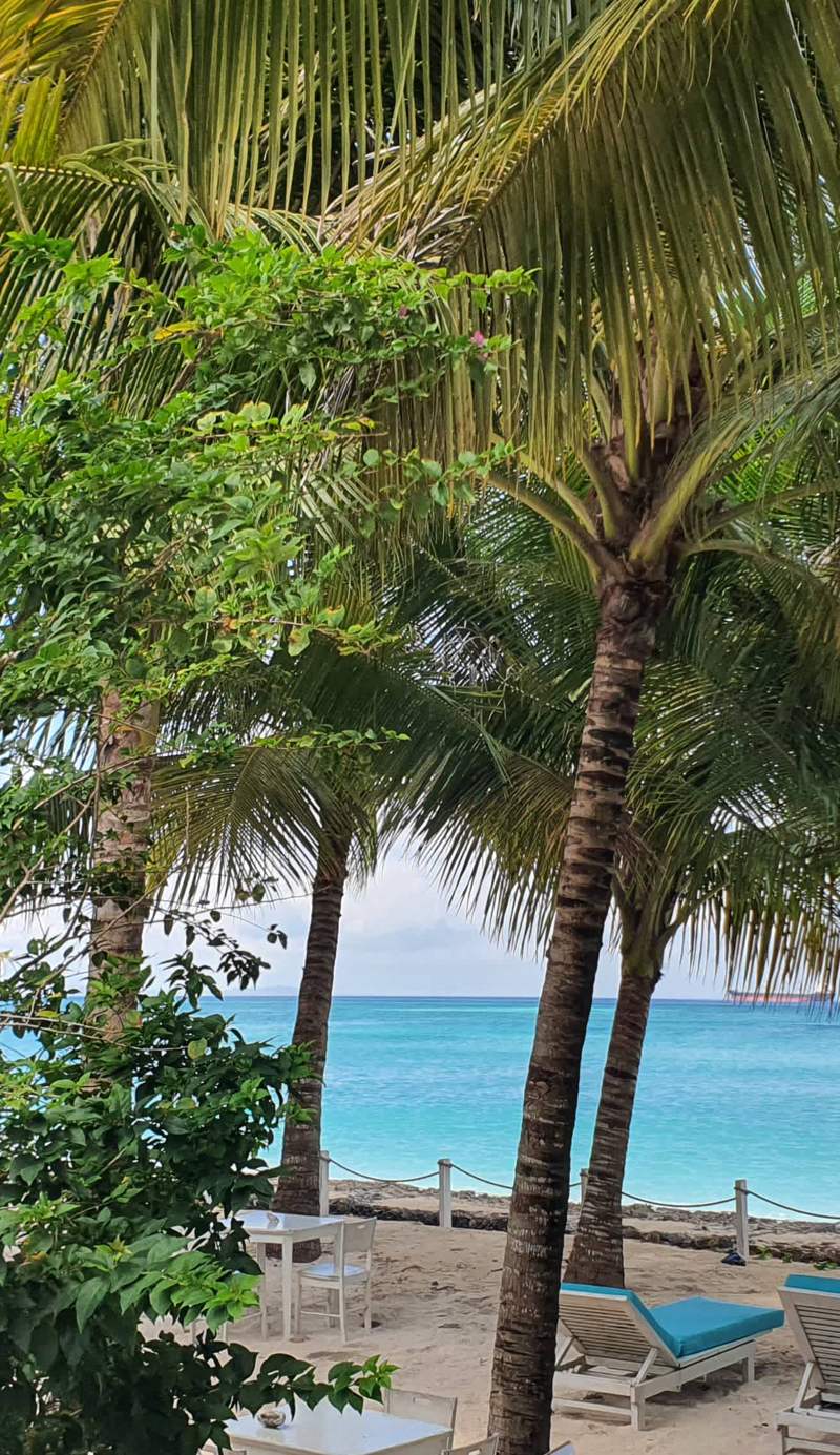 MyAMO Beach Lodge