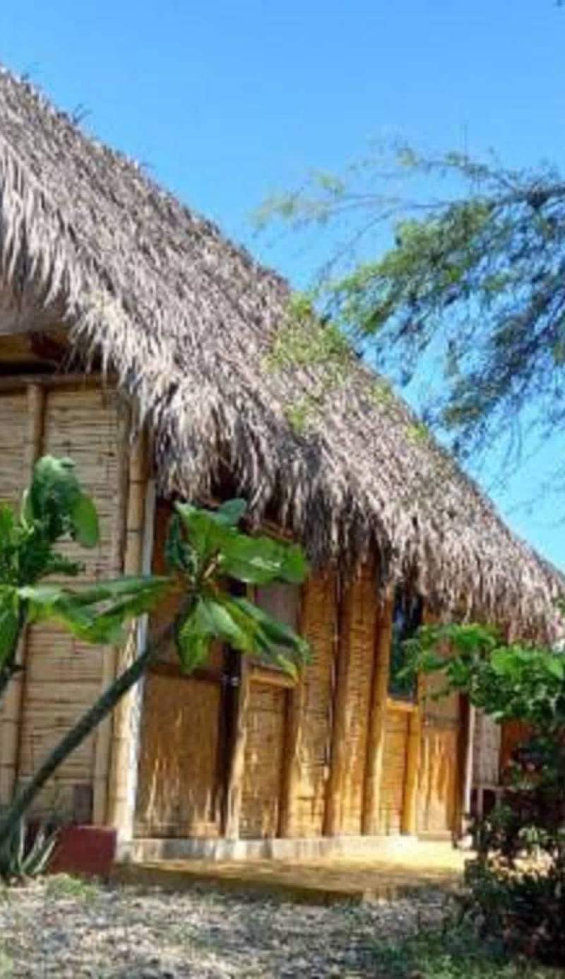 Wasi Center, Holistic and Mystic
