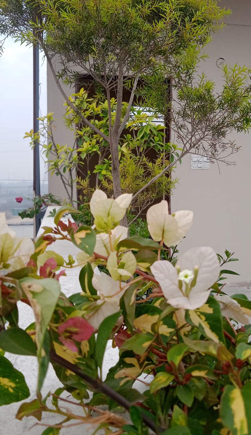 Yogam Homestay Agra