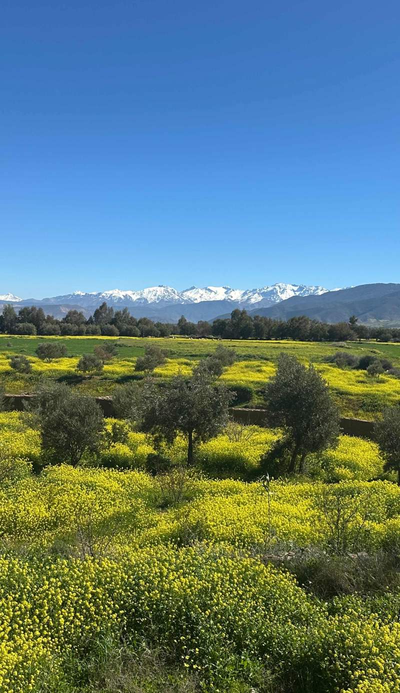 Mountain Riad near Marrakesh
