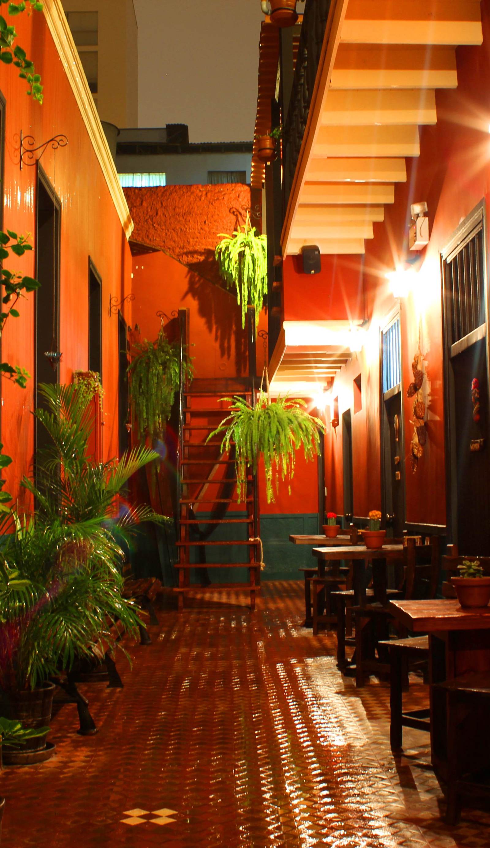 KACLLA, The Healing Dog Hostel