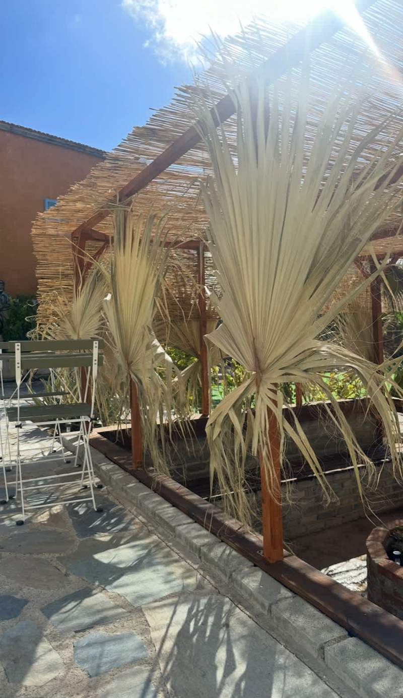 Hostl - Beds & Rooms - The Hostel Inn Paphos
