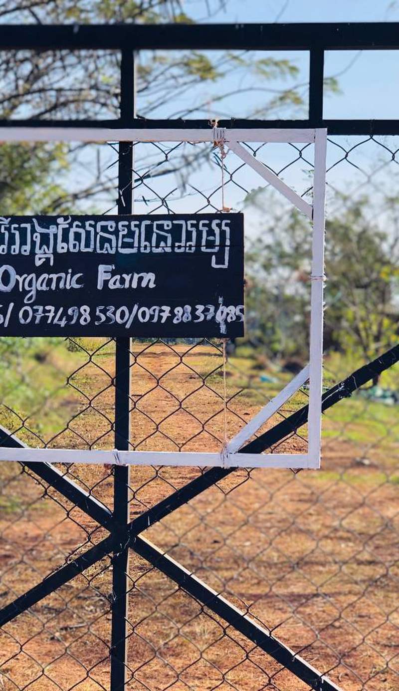 SMR Organic Farm Stay