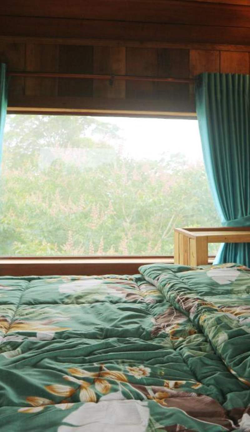 SMR Organic Farm Stay