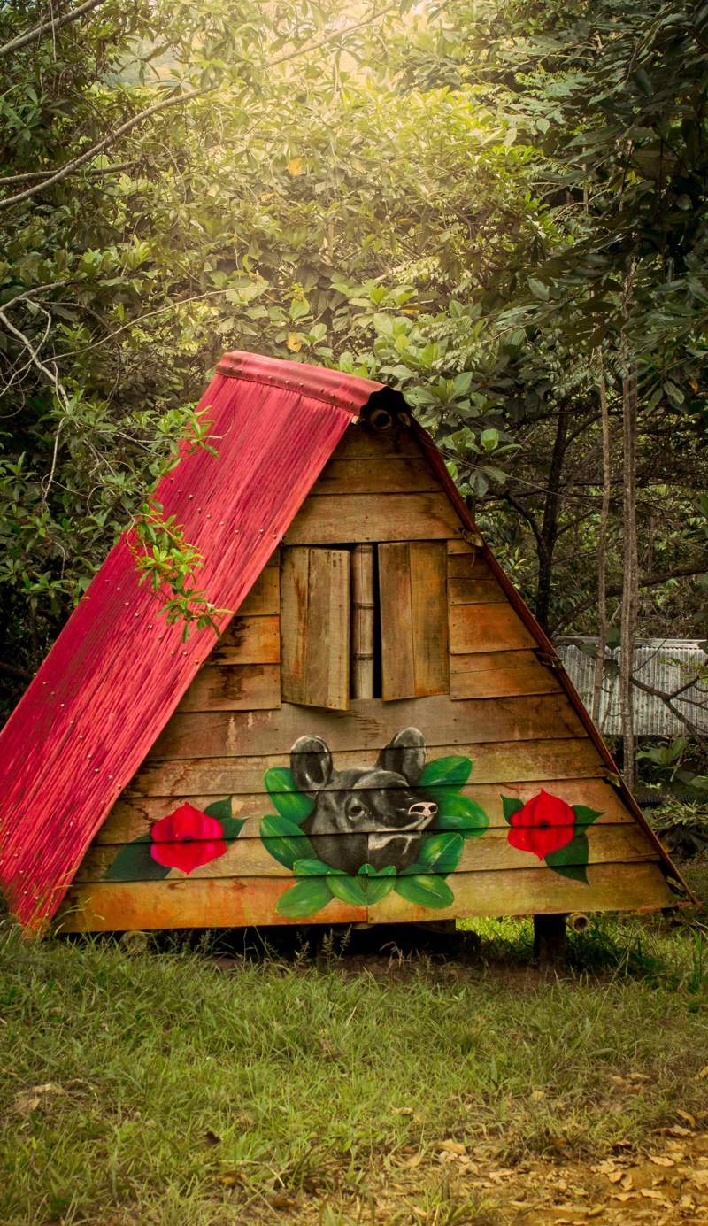 Reserva Kindiwayra ecohostal