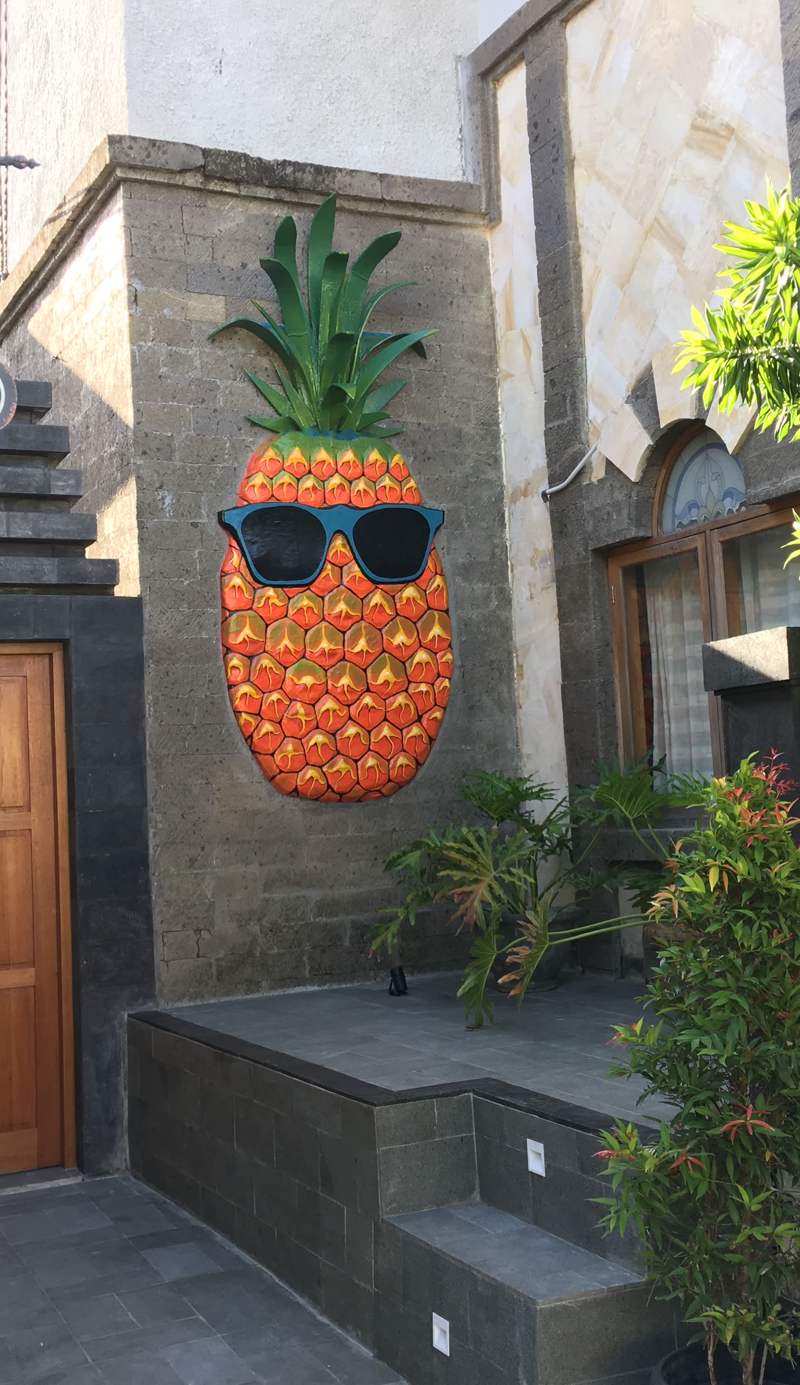 Big Pineapple Backpackers Bali