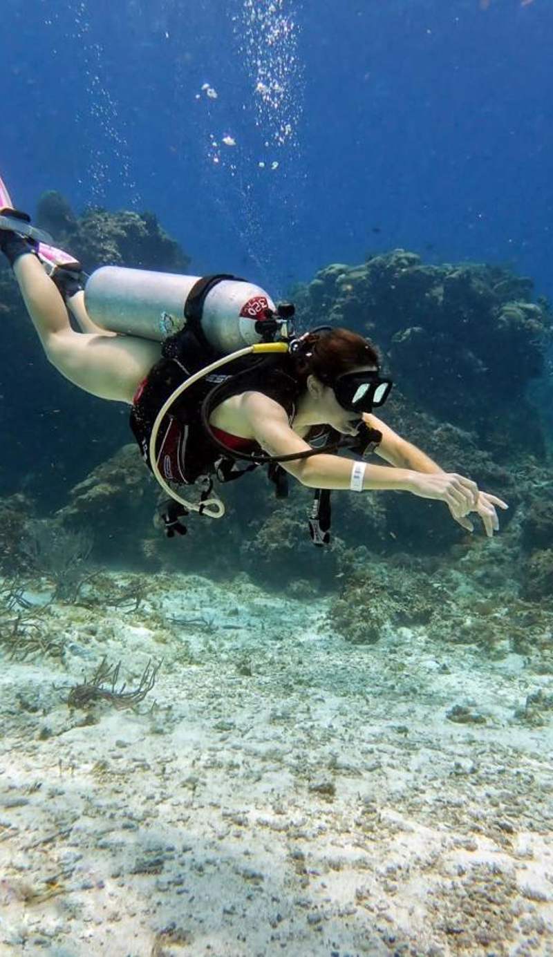 Mi Refugio Dive House