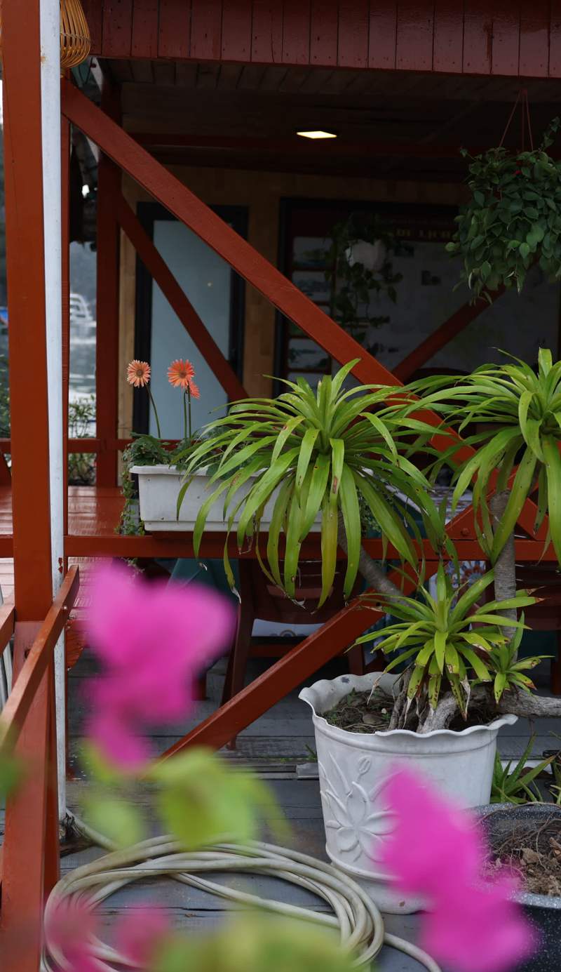 Cat Ba Fishing Village Bay House