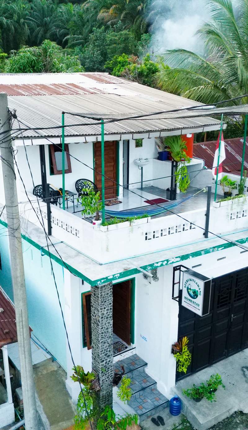 See Bukitlawang Homestay