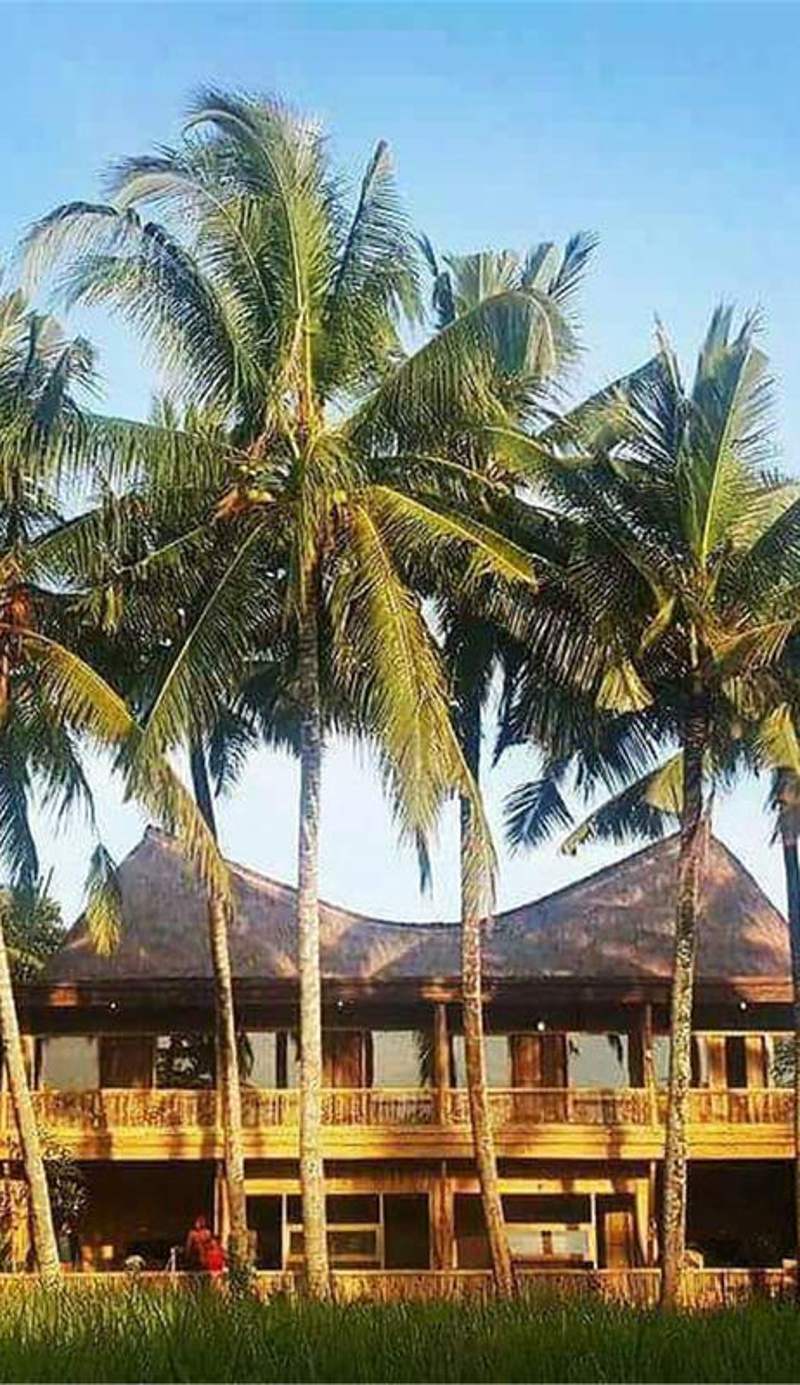 Luxury Bamboo Hostel