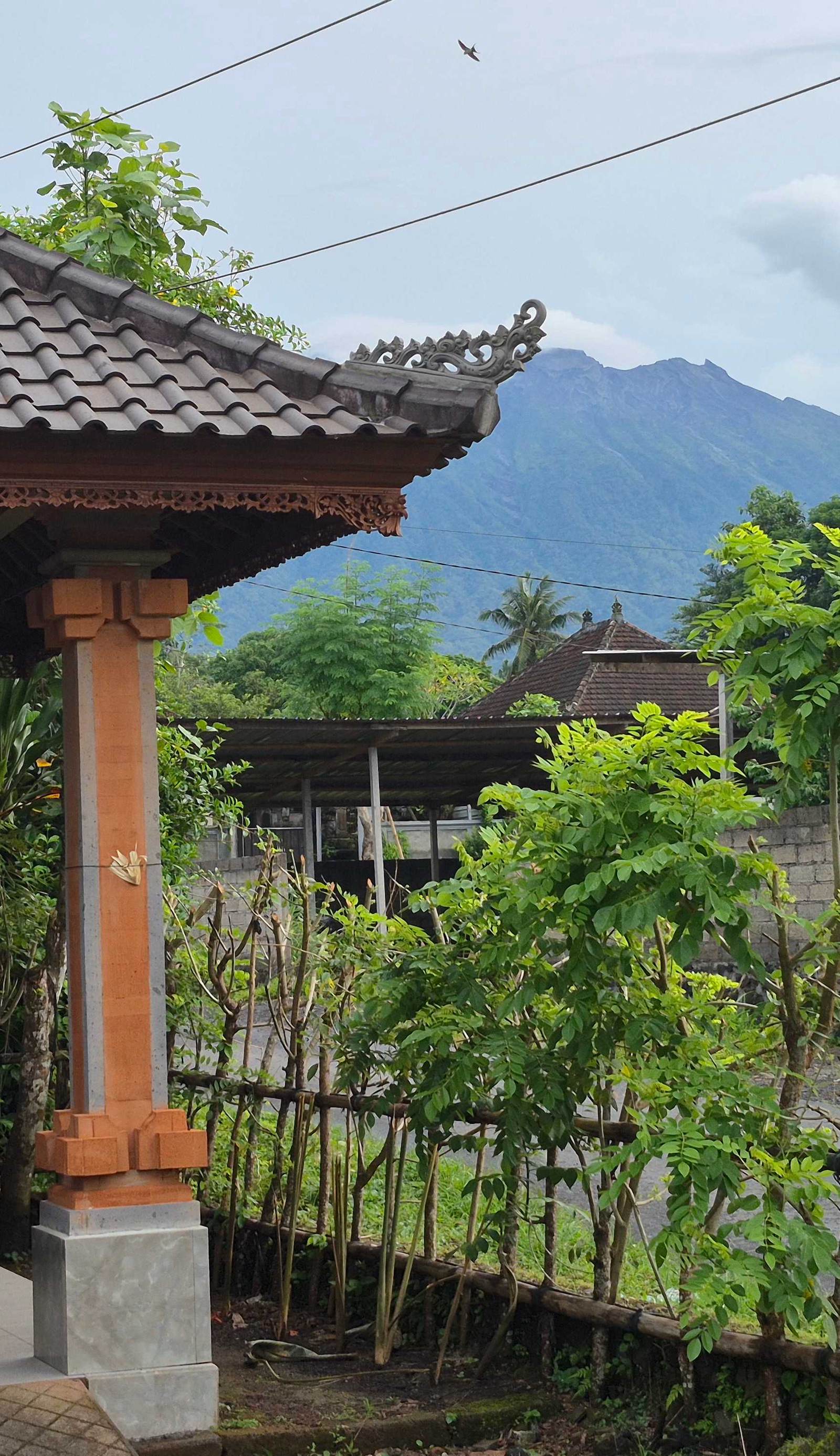 Villa Taman near Sidemen Bali