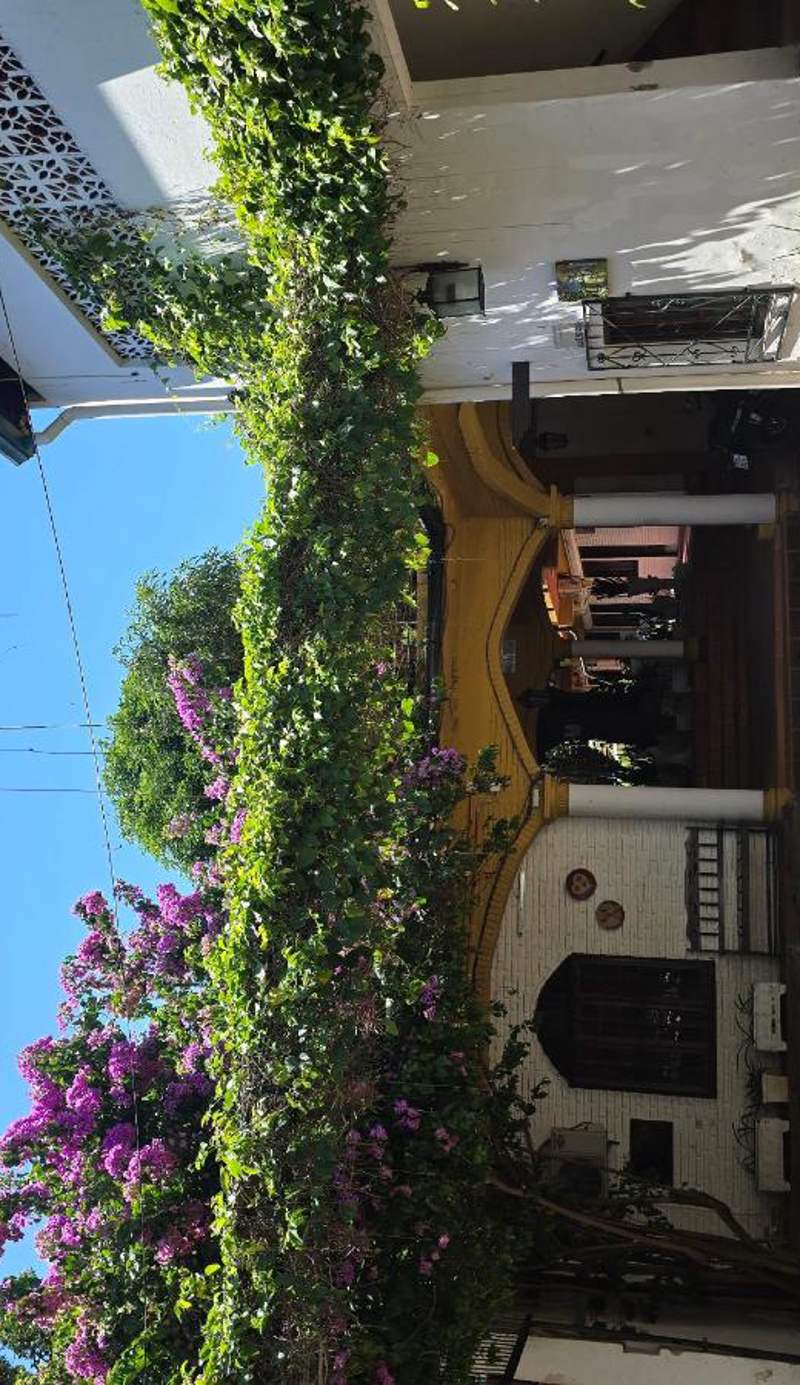 Residencia Leones de Castilla