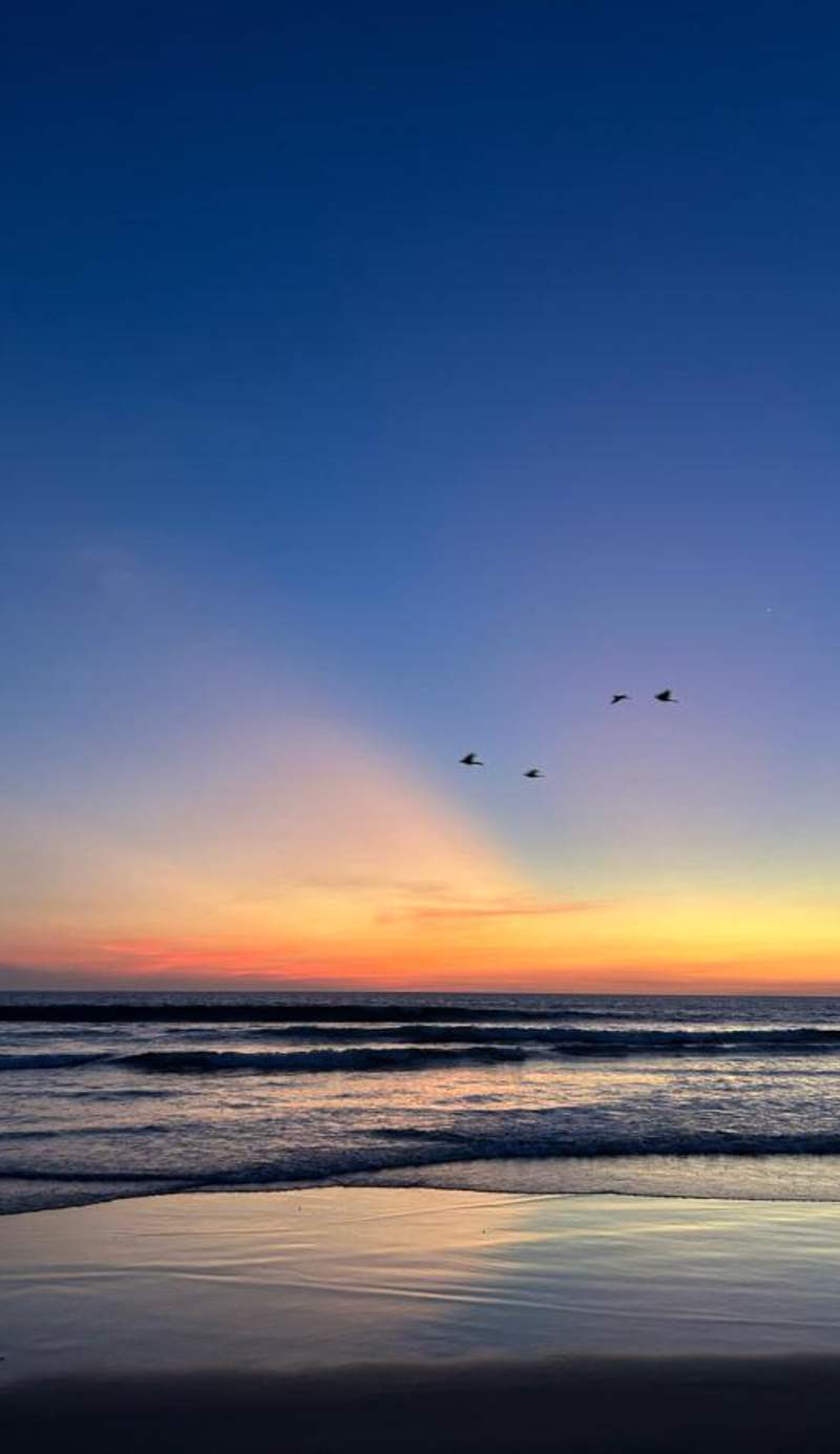 Playa Grande Surf Camp