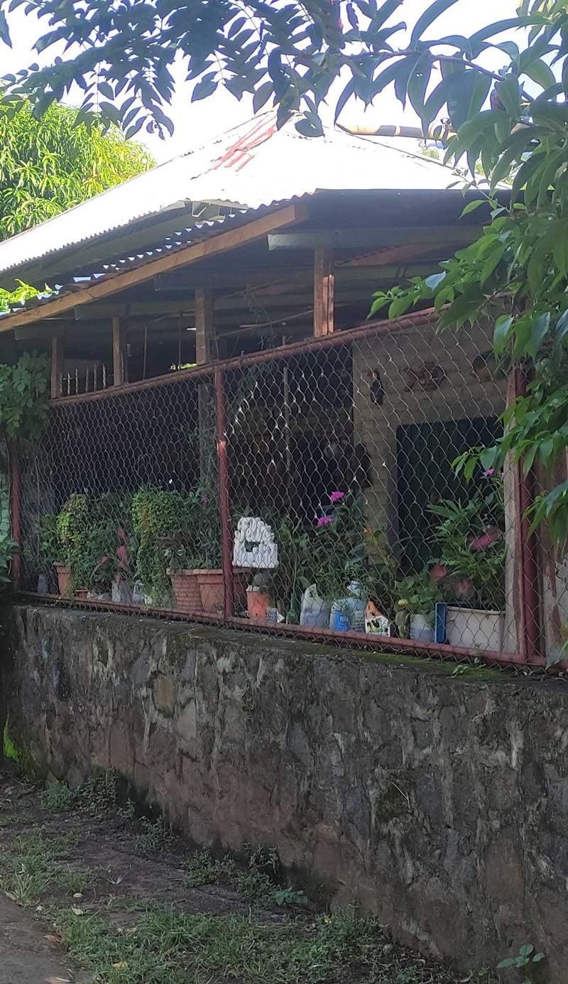 Hostel María Ometepe
