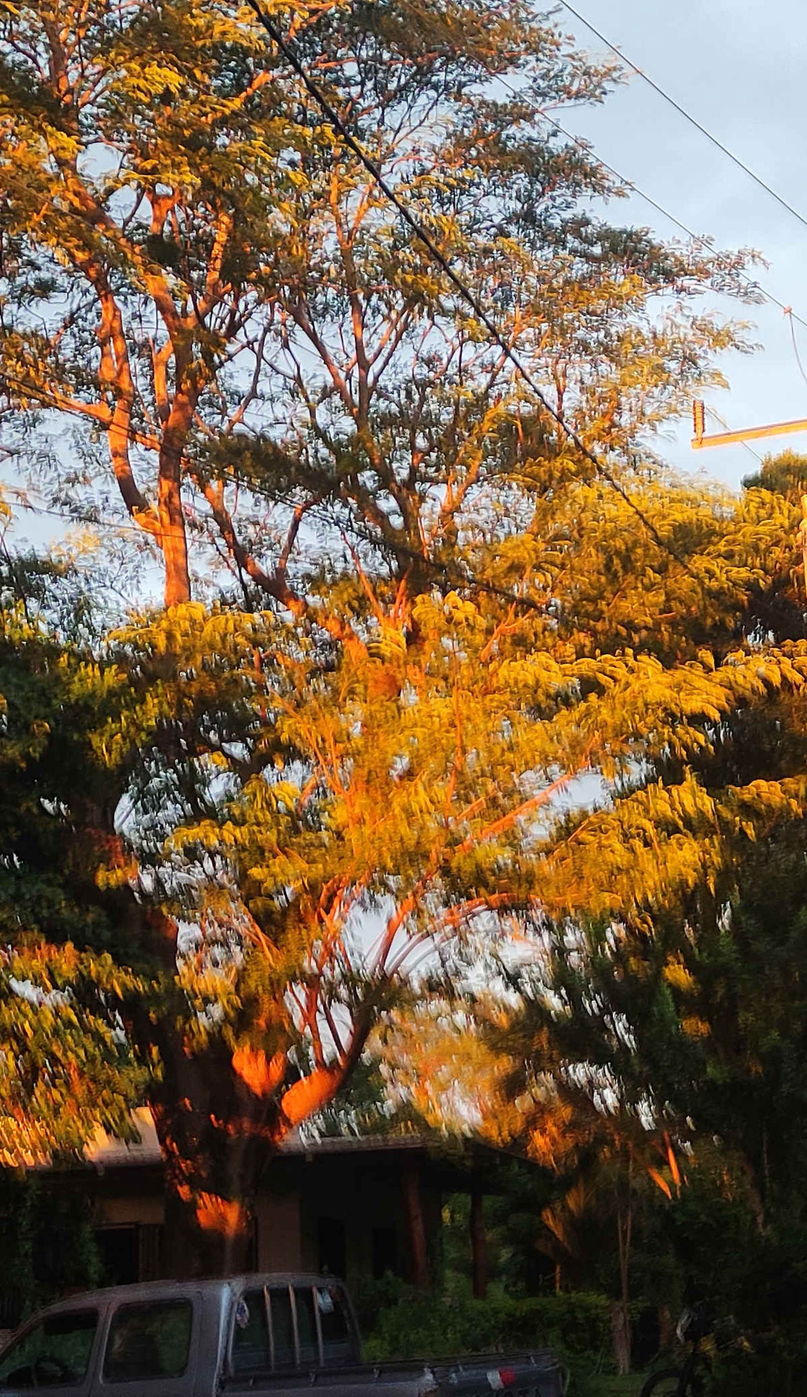 Hostel María Ometepe