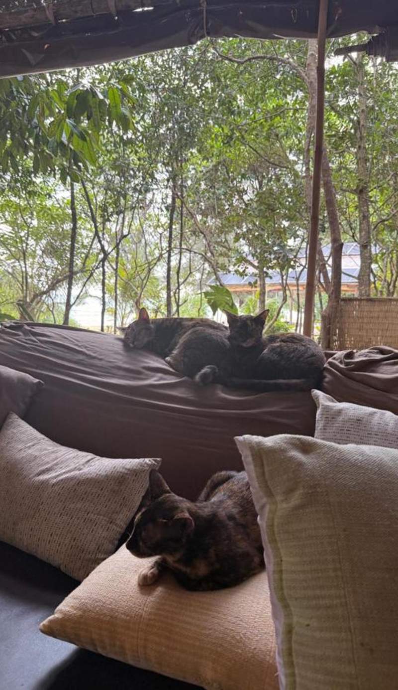 SunBoo Beach Bungalows