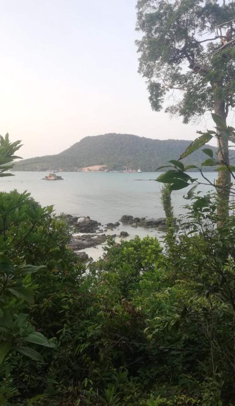 Sea PoeTree