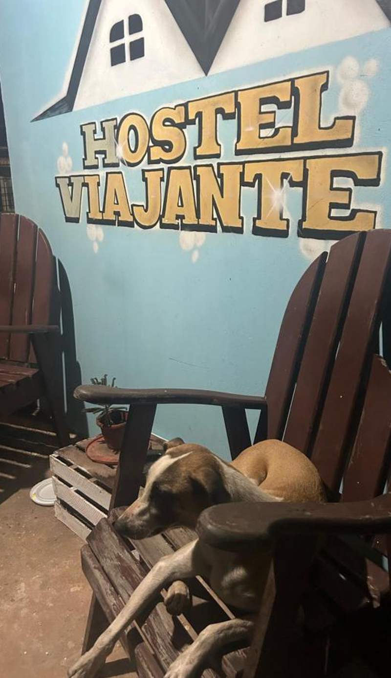 Hostel Viajante Marajo