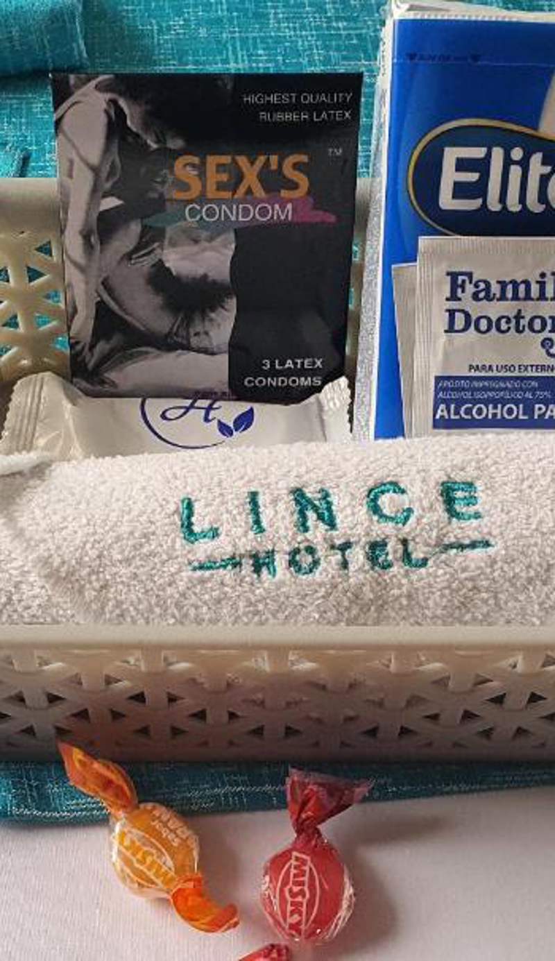 Hotel Lince