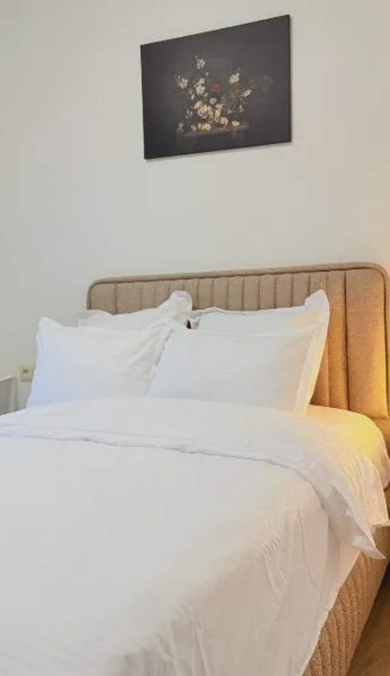 mervahome jeunesse