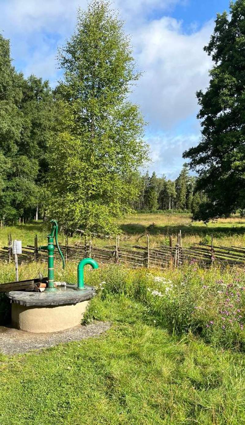 Vandrarhem Svänö
