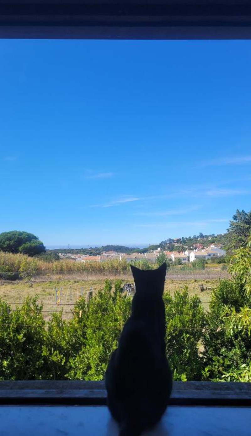 Regenerative Living Cascais
