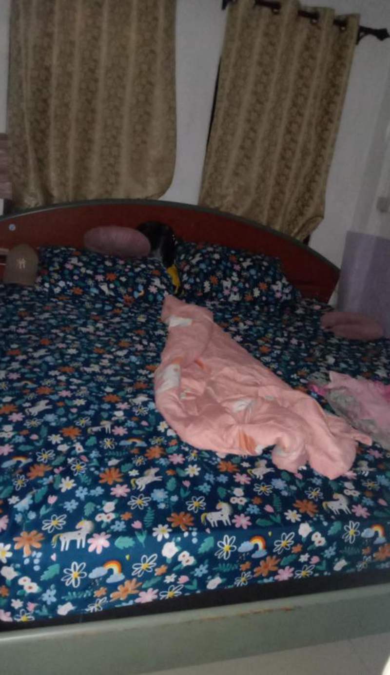 Danee Hostel