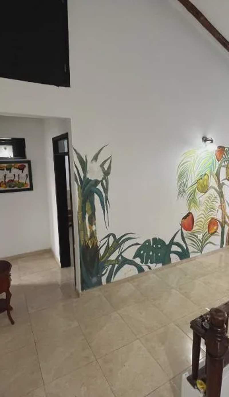 Hostal El Cedro