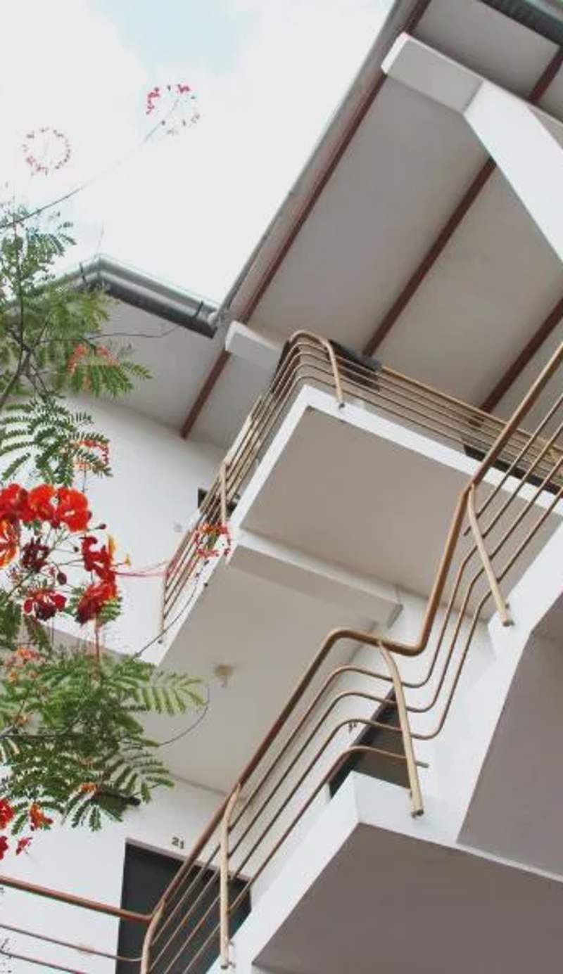El Mirador