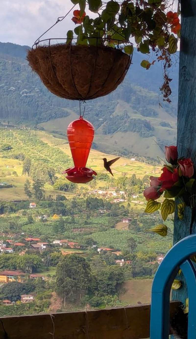 La Casa de las Flores Hostal