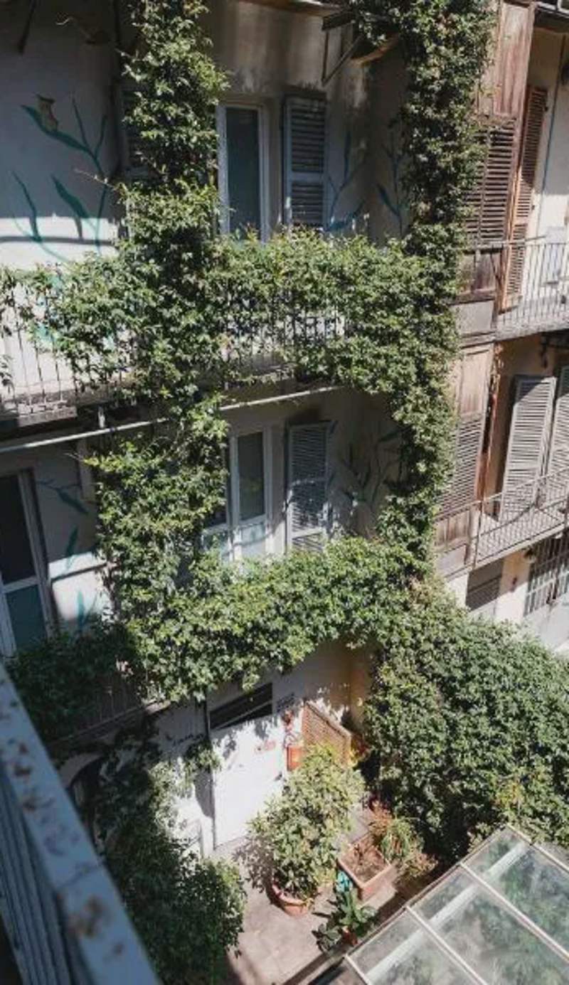 Tomato Backpackers